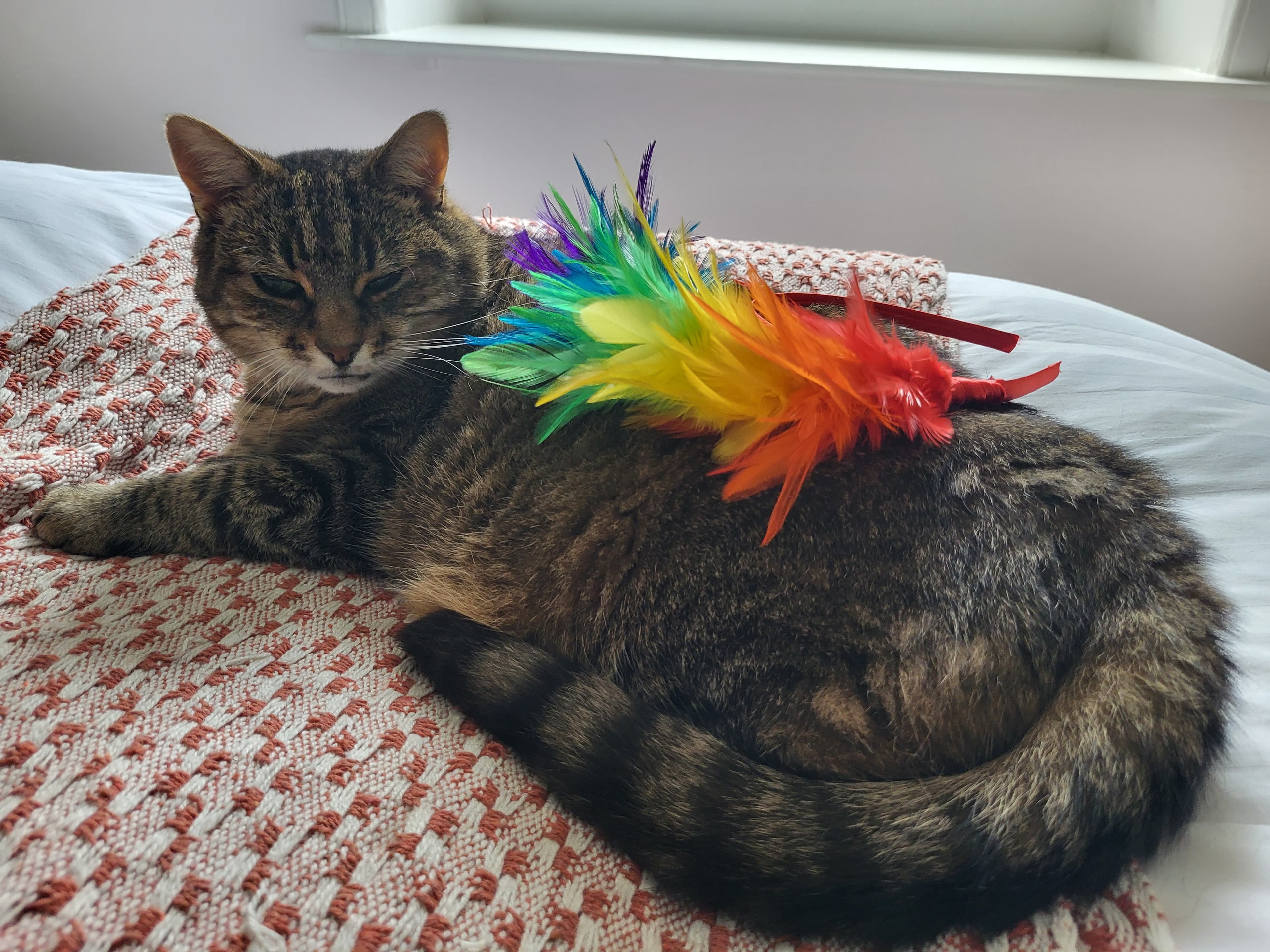 Dress code inspiration 1