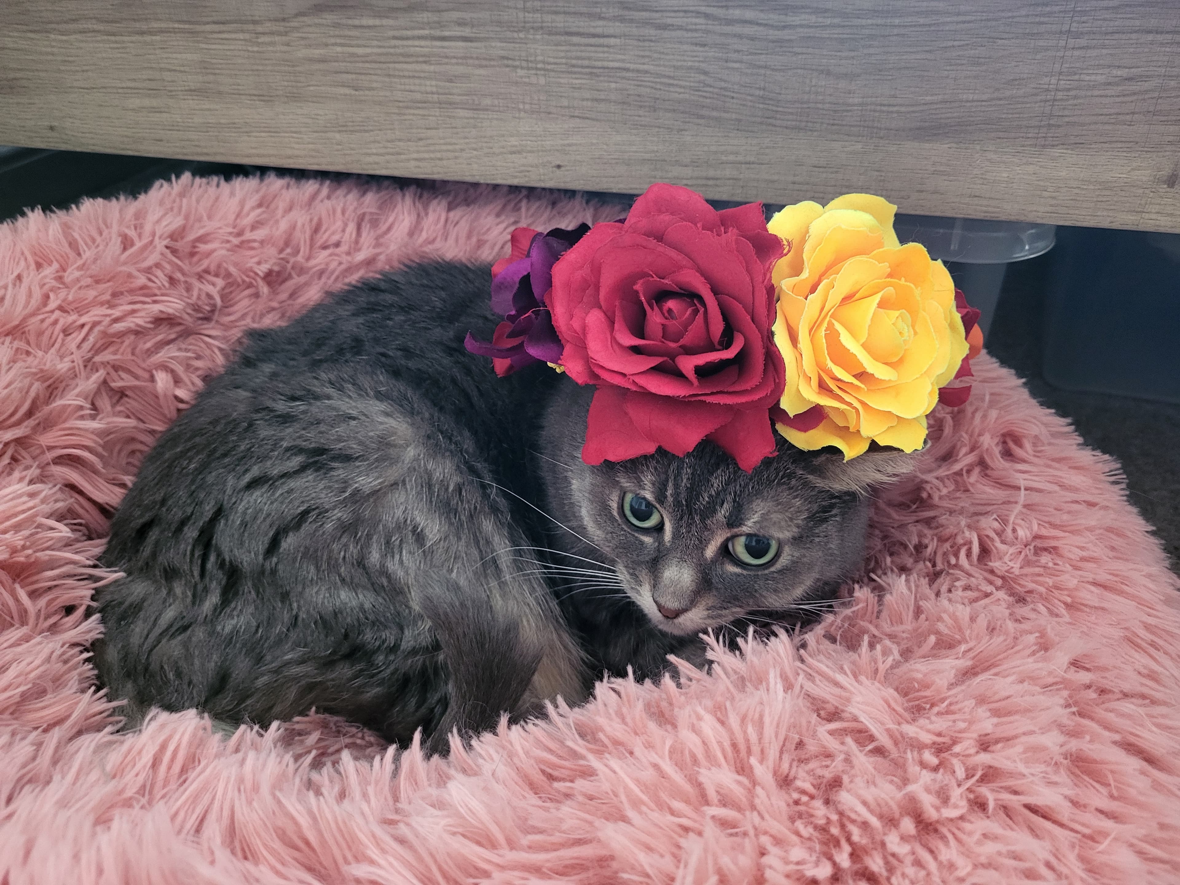 Dress code inspiration 2